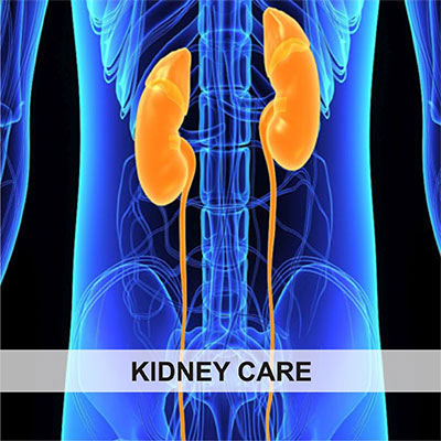 Kidney Care 