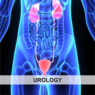 Urology 